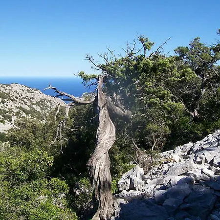 Casa Vacanza Maria E Luciano